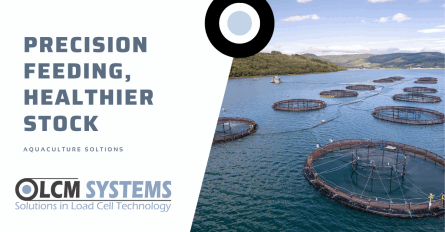 Aquaculture- Precision Feeding